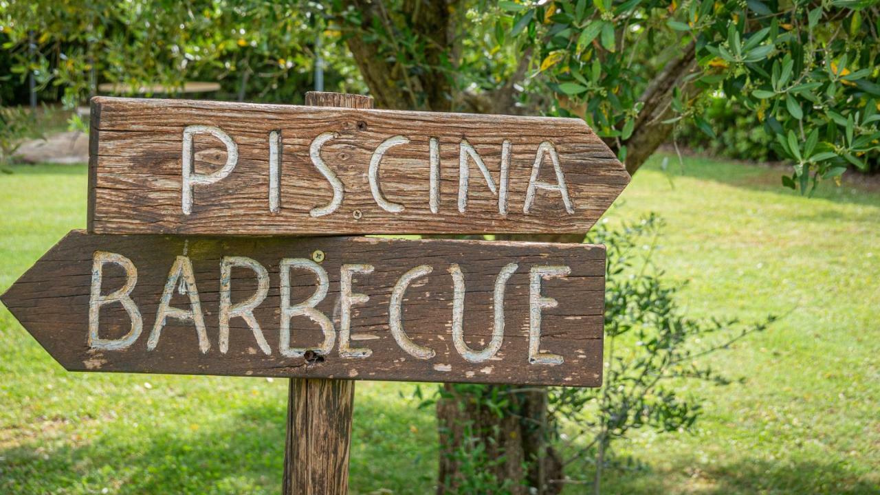 Poggio Al Palio Aparthotel San Lorenzo a Merse Kültér fotó